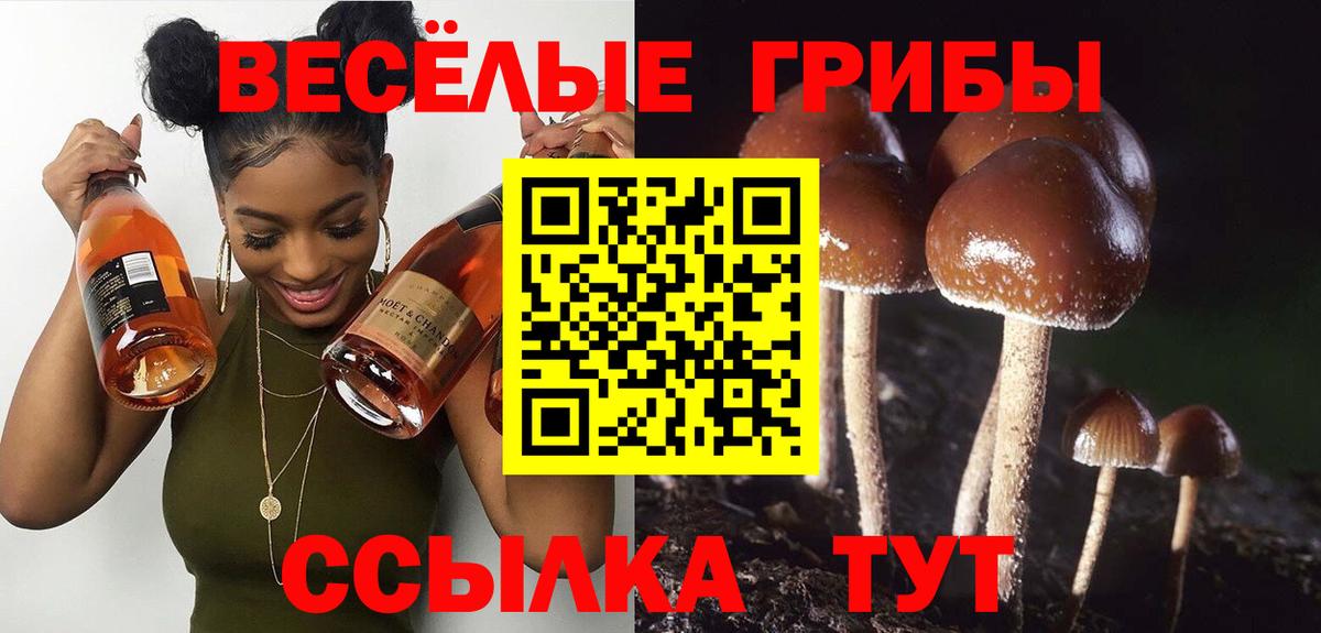 Галлюциногенные грибы прущие грибы  Псилоцибиновые грибы Psilocybe  цены наркотик  Оренбург  Вход с VPN 