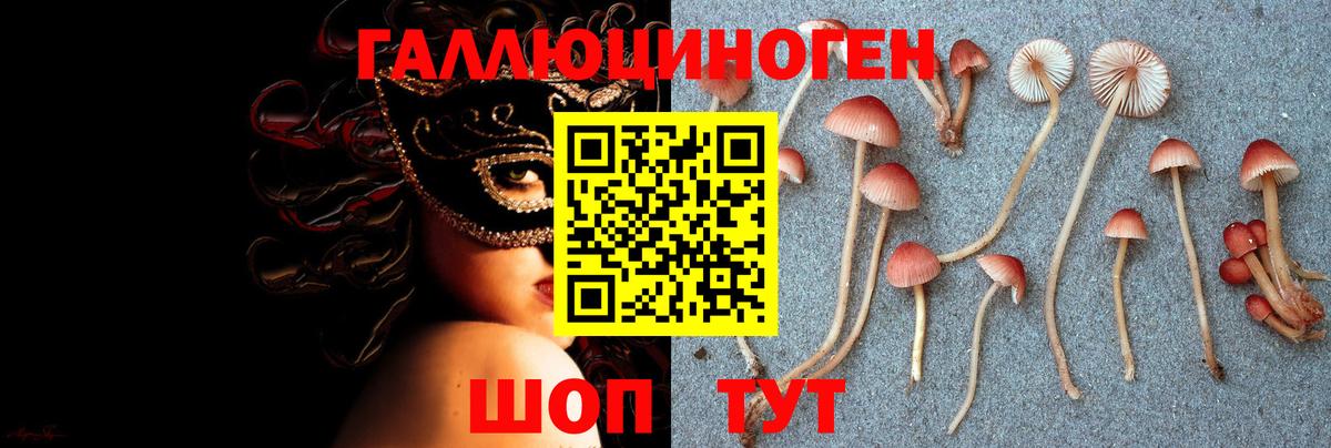 Псилоцибиновые грибы ЛСД Оренбург